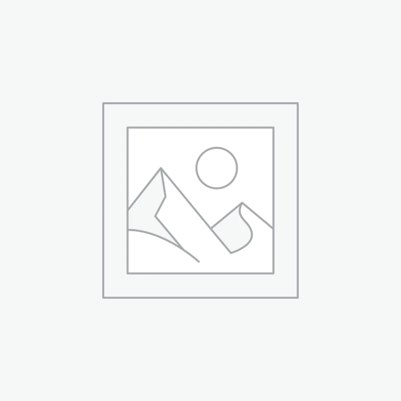 Shampooing revitalisant volumisant Fanola 350 ml