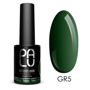 PALU VERNIS HYBRIDE TOKYO GR5/11G